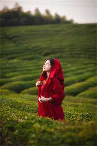 心的第七次颤动目录